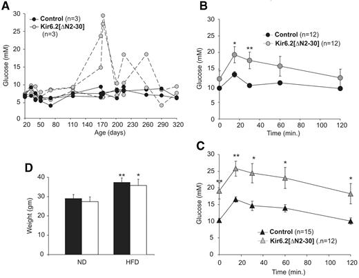 FIG. 2. Blood glucose homeostasis in adult Kir6.2[ΔN2-30] transgenic and control littermate mice. A: Random blood glucose measurements in a single litter of transgenic (n = 3) and control mice (n = 3) from age 21 to 321 days. One of the transgenic mice died during the experiment of an unknown cause at day 220. B: Blood glucose (mg/dl) versus time following intraperitoneal glucose injections (1.5 g/kg body wt) after overnight fasting (16 h). Intraperitoneal GTT results from Kir6.2[ΔN2-30] transgenic mice (n = 12, ages 7–18 months) and control littermate mice (n = 12, ages 7–18 months) on a normal diet. C: Intraperitoneal GTT results from transgenic mice (n = 12, ages 6–18 months) and control littermate mice (n = 15, ages 6–18 months) after 3 months on an HFD. D: Body weights from Kir6.2[ΔN2-30] transgenic (□) and control littermate (▪) mice on a normal diet (ND) or after 3 months on an HFD. Data represent means ± SE. *P < 0.05, **P < 0.01, unpaired Student’s t test.