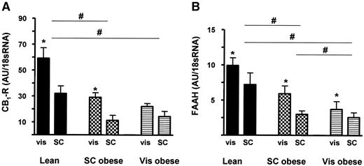 FIG. 3. CB1 and FAAH mRNA expression in lean and obese subjects. Gene expression was determined by real-time RT-PCR in paired samples of subcutaneous (SC) and visceral (vis) adipose tissue in all 60 subjects. A: In all groups, CB1 mRNA expression was higher in visceral compared with subcutaneous adipose tissue (P < 0.05). Subjects in the lean group had significantly higher CB1 mRNA expression than obese subjects, with no effect of the fat distribution phenotypes. B: In all groups, visceral FAAH mRNA levels were significantly higher than in subcutaneous adipose tissue. FAAH expression was highest in lean subjects and lowest in subjects with visceral obesity. Data are means ± SE. Group comparisons by ANOVA and t test for paired samples. *P < 0.05 for visceral vs. subcutaneous expression; #P < 0.05 between groups.