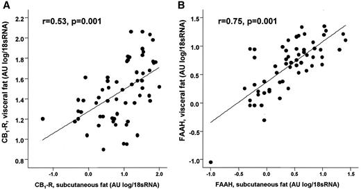 FIG. 4. Correlation between visceral and subcutaneous adipose tissue gene expression of CB1 receptor (A) and FAAH (B) genes. Linear regression analysis with log-transformed data (1 AU = 1ag target gene/100 ng total RNA). Paired samples from visceral and subcutaneous adipose tissue were obtained from 60 Caucasian men (n = 30) and women (n = 30) and analyzed by real-time RT-PCR.
