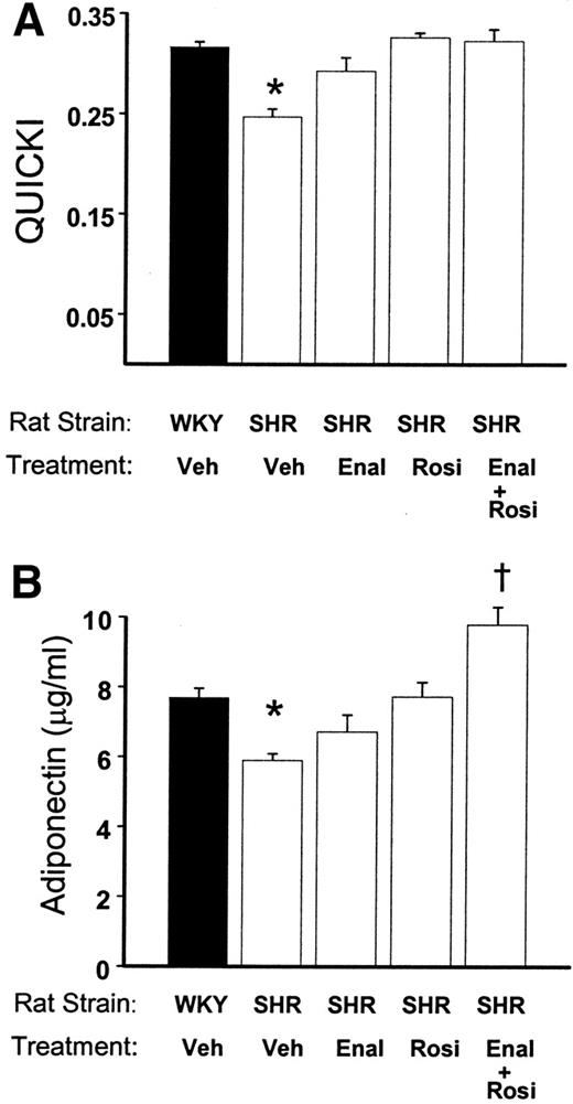 FIG. 1. Insulin sensitivity and serum adiponectin levels are increased in SHRs after enalapril (Enal) and rosiglitazone (Rosi) treatment. Fasting blood samples were obtained after a 3-week therapy with the indicated drugs (means ± SE of at least five independent experiments for each group). A: Quantitative insulin sensitivity check index {QUICKI = 1/[log (insulin) + log (glucose)]} was significantly lower in vehicle (Veh)-treated SHRs when compared with WKY rats (*P < 0.0002). Enalapril, rosiglitazone, or combination therapy all significantly increased insulin sensitivity in SHRs (vs. vehicle-treated SHRs, P < 0.007). B: Immunoenzymatic measurement demonstrates significantly lower levels of serum adiponectin in vehicle-treated SHRs when compared with WKY (*P < 0.0002). Enalapril or rosiglitazone treatment increased adiponectin levels in SHRs (vs. vehicle-treated SHRs, P < 0.03 and 0.0003, respectively, by unpaired t tests). Combination therapy with enalapril plus rosiglitazone significantly increased serum adiponectin to levels above those observed in WKY rats (†P < 0.001).