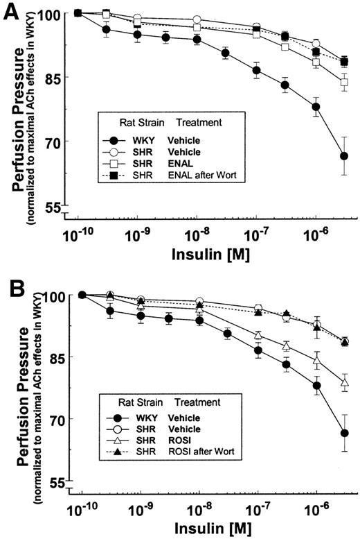 FIG. 3. PI 3-kinase–dependent vasodilator actions of insulin are significantly improved in MVBs from SHRs treated with enalapril (ENAL) or rosiglitazone (ROSI). After daily drug therapy for 3 weeks, MVBs were studied ex vivo as described in research design and methods. Vasorelaxation was assessed in response to increasing concentrations of insulin in the perfusate (means ± SE of at least five independent experiments for each group). Vasodilator actions of insulin were significantly impaired in vehicle-treated SHRs (vs. WKY, P < 0.001). Treatment of SHRs with enalapril or rosiglitazone increased the ability of insulin to mediate vasorelaxation (vs. vehicle-treated SHRs, P < 0.02, P < 0.0023, respectively). Preincubation of vessels with wortmannin significantly inhibited vasodilator actions of insulin in MVBs from SHRs treated with either enalapril or rosiglitazone (P < 0.001). Statistical comparisons between dose-response curves were performed using two-way ANOVA for repeated measures.