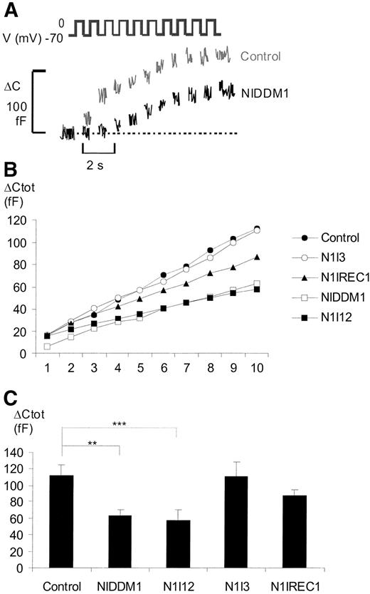 FIG. 2. Single β-cell exocytosis in different Niddm1i congenic strains. A: Exocytosis evoked by trains of 10 depolarizations (V) and monitored as increases in cell capacitance (ΔC) in control (gray) and NIDDM1I (black) β-cells. B: Average accumulated capacitance increase (ΔCtot) elicited by trains of depolarizations in β-cells from different congenic strains as depicted. Error bars are omitted in this figure for reasons of clarity. C: ΔCtot evoked by the entire train. Data are the mean values ± SE in 13 control, 19 NIDDM1I, 21 N1I12, 15 N1I3, and 33 N1IREC1 β-cells. **P < 0.01; ***P < 0.001.