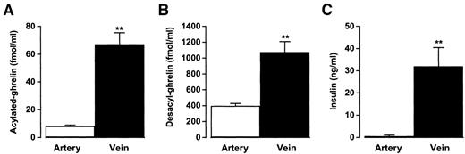 FIG. 1. Acylated ghrelin (A) and desacyl-ghrelin (B), as well as insulin (C), were present at higher concentrations in the pancreatic vein (splenic vein) than in the pancreatic artery (celiac artery) in rats (n = 8). **P < 0.01 vs. artery.