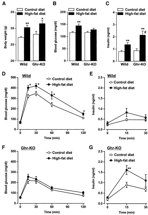 FIG. 5. High-fat diet–induced glucose intolerance is prevented in ghrelin knockout (Ghr-KO) mice. Body weight (A), fed blood glucose (B), and insulin (C) levels in 12-week-old wild-type and ghrelin knockout mice fed a high-fat diet or control diet. The mice were given a high-fat diet or control diet from 8 to 12 weeks old. On a caloric base, high-fat diet consisted of 23% protein, 44.6% carbohydrates, and 32.4% fat (total 17.9 kJ/g), whereas control diet consisted of 29.2% protein, 58.8% carbohydrates, and 12% fat (total 14.5 kJ/g, n = 9 per group). In wild-type mice, the high-fat diet group exhibited glucose intolerance (D) and slight enhancement of insulin release (E) during the GTT (glucose 2 g/kg i.p.). In ghrelin knockout mice, in contrast, glycemic responses to GTTs in the high-fat diet group were not different from those of control diet group (F), and insulin response at 15 min was markedly enhanced in the high-fat diet group (G). *P < 0.05; **P < 0.01 vs. control diet mice; #P < 0.05 vs. wild-type high-fat diet mice.