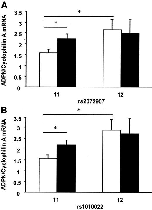 FIG. 4. Expression of ADPN mRNA in subcutaneous (□) and visceral (▪) fat depots from obese subjects divided on genotype carriers of tagSNP rs2072907 (2/23 [men/women] carriers of 11 genotype, median age 36 [29–48] years, and BMI 42.2 [37.7–44.6] kg/m2; and 1/6 [men/women] carriers of 12 genotype, median age 40 [34–50] years, and BMI 39.8 [35.1–43.7] kg/m2) (A) and SNP rs1010022 (2/24 [men/women] carriers of 11 genotype, median age 36 [29–50] years, and BMI 41.8 [37.8–44.3] kg/m2; and 1/5 [men/women] carriers of 12 genotype, median age 38 [34–49] years, and BMI 40.7 [34.4–44.4] kg/m2) (B). RNA was extracted, and ADPN mRNA levels were quantified by real-time RT-PCR and normalized to the level of cyclophilin A mRNA. Samples were analyzed in triplicate, and data are presented as means ± SE. *P < 0.05. 1, major allele; 2, minor allele.