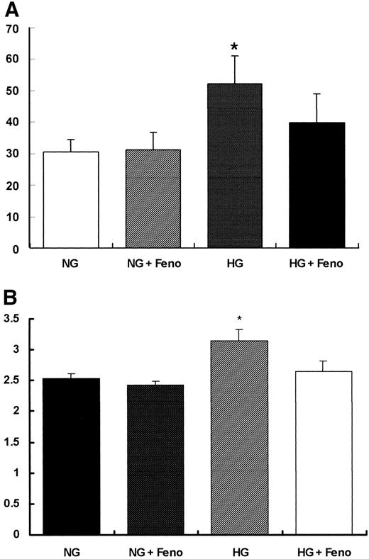 FIG. 7. Activation of PPARα suppresses high-glucose (HG)-mediated type IV collagen expression (A). Treatment of primary cultured 129JsV mouse mesangial cells with high glucose (30 mmol/l) significantly increased type IV collagen production as assessed by ELISA. Fenofibrate, PPARα agonist markedly suppressed the high-glucose–mediated increase in type IV collagen protein production. Activation of PPARα suppresses high-glucose–induced TGF-β1 protein expression in mesangial cells (B). Fenofibrate suppressed the high-glucose (30 mmol/l)–mediated increase in TGF-β1 protein production in mesangial cells. *P < 0.05 vs. cells with normal glucose (NG), cells treated with normal glucose + fenofibrate (NG+Feno), or cells with high glucose + fenofibrate (HG+Feno). Values are means ± SD. n = 6 in a single experiment representative of two independent experiments.