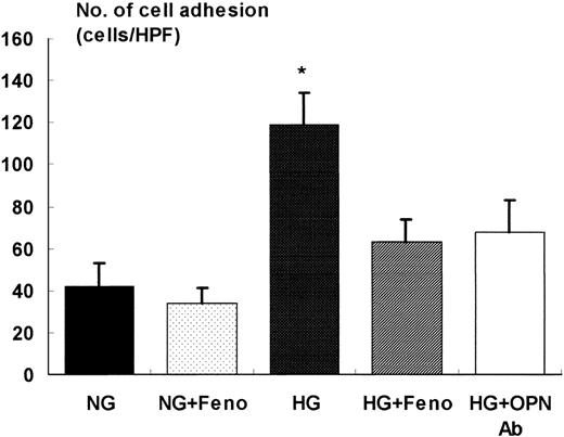 FIG. 8. Activation of PPARα or blocking of osteopontin suppresses high-glucose (HG)-mediated leukocyte adhesion to mesangial cells. Fenofibrate and anti-osteopontin antibody suppressed the high-glucose (30 mmol/l)–mediated increase in leukocyte adhesion to mesangial cells. *P < 0.01 compared with normal glucose (NG), high glucose + fenofibrate (HG+Feno) or high glucose + anti-osteopontin antibody (HG+OPN Ab).