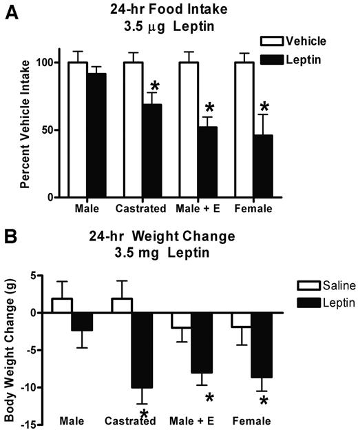 FIG. 2. i3vt leptin reduces food intake and body weight in intact females, castrated males, and 17 β-estradiol–treated males but has little effect in intact males. Intact males (male; n = 10), castrated males (castrated; n = 10), intact males injected with 17 β-estradiol (male + E; n = 10), and intact female (female; n = 18) Long-Evans rats were administered leptin (3.5 μg/1 μl saline) or vehicle alone (1 μl saline) on different days in counterbalanced order. Estradiol administration occurred every 4 days for 1 month. Data are expressed as mean (±SE) percent of vehicle baseline. ANOVA revealed that leptin significantly reduced 24-h food intake (A) and body weight (B) in castrated males, intact males injected with 17 β-estradiol, and females. *P < 0.05 compared with vehicle baseline.