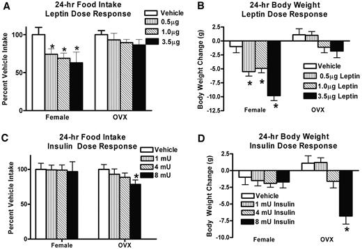 FIG. 3. A and B: OVX decreases the anorexic effects of i3vt leptin. Intact, sham-operated females (female; n = 18) and ovariectomized females (OVX; n = 20) were injected i3vt with leptin (0.5, 1.0, and 3.5 μg/1 μl saline) or vehicle (1 μl saline) i3vt on different days in counterbalanced order. Data are expressed as mean (±SE) percent of vehicle baseline. ANOVA confirmed that leptin significantly reduced food intake (A) and body weight (B) relative to vehicle baseline in sham-operated but not OVX rats. *P < 0.05 relative to vehicle baseline. C and D: OVX enhances the anorexic effects of i3vt insulin. Intact, sham-operated females (female; n = 18) and ovariectomized females (OVX; n = 20) received i3vt insulin (1, 4, and 8 mU/1 μl saline) or vehicle (1 μl saline) on different days in counterbalanced order. Data are expressed as mean (± SE) percent of vehicle baseline. ANOVA revealed that 8 mU insulin significantly reduced 24-h food intake (C) and body weight (D) only in OVX rats. *P < 0.05 relative to vehicle baseline.
