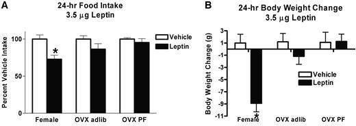 FIG. 4. Pair feeding does not increase the anorexic effects of i3vt leptin in OVX rats. Intact, sham-operated females (female; n = 18), ad libitum ovariectomized females (OVX adlib; n = 20), and pair-fed ovariectomized females (OVX PF; n = 10) were injected with leptin i3vt (3.5 μg/1 μl saline) or saline (1 μl) i3vt on different days. Data are expressed as mean (±SE) percent of vehicle baseline. ANOVA confirmed that leptin significantly reduced food intake (A) and body weight (B) in the intact females but neither group of OVX rats. *P < 0.05 relative to vehicle baseline.
