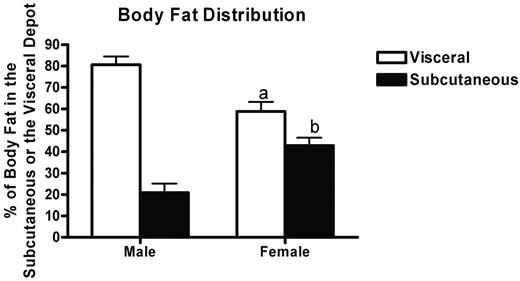 FIG. 5. Male rats have proportionally more visceral fat than females, and females have more subcutaneous fat as measured by NMR. Females (n = 10) had a higher percentage of total fat stored in the subcutaneous depot than weight-matched male rats (n = 10). Data are depicted as mean ± SE percent fat located in each of the different depots. a: P < 0.05 relative to male visceral fat; b: P < 0.05 relative to male subcutaneous fat.