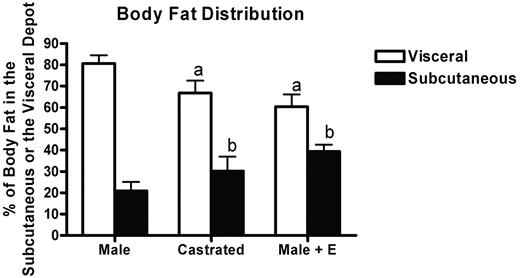 FIG. 6. Male rats have more visceral fat, as measured by NMR, than castrated or males treated with peripheral 17 β-estradiol. Intact males (male; n = 10) had more fat in the visceral depot than did the castrated males (castrated; n = 9) or males treated with peripheral 17 β-estradiol (male + E; n = 10). Castrated males and 17 β-estradiol–treated males had significantly more subcutaneous fat than intact males. Estradiol administration occurred every 4 days for 1 month. Data are expressed as mean ± SE percent of total fat located in each of the different depots. a: P < 0.05 relative to intact male visceral fat; b: P < 0.05 relative to intact male subcutaneous fat.