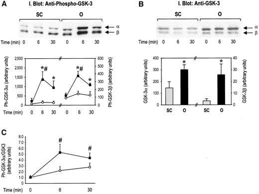 FIG. 5. GSK-3 phosphorylation and total protein expression in human subcutaneous (SC) and omental (O) fat. Solubilized proteins from subcutaneous (○) and omental (▪) fat depots were resolved by 10% SDS-PAGE and analyzed by immunoblotting with anti–phospho–GSK-3α/β (Ser-9/Ser-21) or anti–GSK-3 antibodies, as indicated. Each panel shows a representative immunoblot and the quantitation of data from all subjects. A: Serine phosphorylation of GSK-3α and GSK-3β (n = 6). B: Total GSK-3α and GSK-3β protein content (n = 7) (values of basal and insulin-stimulated samples pooled together). C: Ratio of phosphorylated to total GSK-3α in the individual samples. *P < 0.05 vs. subcutaneous; #P < 0.05 vs. basal (time 0 min).