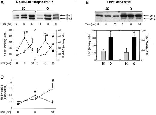 FIG. 6. Phosphorylation levels and total protein content of ERK-1/2 in human subcutaneous (SC; ○) and omental (O; ▪) fat. Phosphorylation and protein content of ERK-1/2 were determined by direct immunoblotting of adipose tissue extracts with anti–phospho-p42/44 MAP kinase (ERK-1/2) (Thr-202/Tyr-204) or MAP kinase (ERK-1/2) antibodies, respectively. Each panel shows a representative immunoblot and the quantitation of data from all subjects. A: ERK-1/2 phosphorylation on Thr-202/Tyr-204 (n = 7). B: Total ERK-1/2 protein content (n = 7) (values of basal and insulin-stimulated tissue samples pooled together). C: Ratio of phosphorylated to total ERK-1 in the individual samples. *P < 0.05 vs. subcutaneous; #P < 0.05 vs. basal (time 0 min).