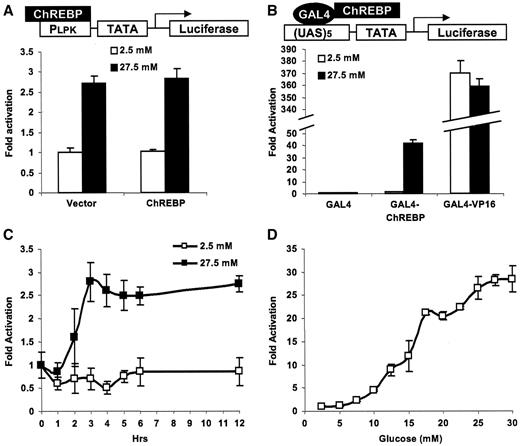FIG. 1. A sensitive glucose-responsive system. Luciferase assay results were obtained under the following conditions. A: PLPK-luc and pRL-TK were cotransfected with empty vector or vector harboring ChREBP into 832/13 cells; B: pG5-luc and pRL-TK were cotransfected with plasmids encoding GAL4, GAL4-ChREBP, or GAL4-VP16 into 832/13 cells. Transfected cells (A and B) were treated with 2.5 or 27.5 mmol/l glucose for 24 h. C: pG5-R2.2luc and pRL-TK were cotransfected with plasmid encoding GAL4-ChREBP into 832/13 cells, which were primed with 2.5 mmol/l glucose for 24 h and then treated with 2.5 or 27.5 mmol/l glucose for a specified period of time. Results are shown as fold activation over reporter activity before treatment. D: pG5-luc and pRL-TK were cotransfected with plasmid encoding GAL4-ChREBP into 832/13 cells that were treated with indicated concentration of glucose for 24 h.