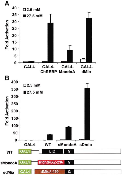 FIG. 3. Mondo proteins respond to glucose. Luciferase assay results were obtained under the following conditions. A: MondoA and aa.3–388 region of dMio were cloned into pGAMPAC (GAL4-MondoA and GAL4-dMio). pG5-luc and pRL-TK were cotransfected with specified plasmids into 832/13 cells that were treated with 2.5 or 27.5 mmol/l glucose for 24 h. B: In pGAMPAC-ChREBP, aa.2–196 of ChREBP was replaced with aa.2–236 of MondoA (sMondoA) or aa.3–265 of dMio (sdMio). pG5-luc and pRL-TK were cotransfected with specified plasmids into 832/13 cells that were treated with 2.5 or 27.5 mmol/l glucose for 24 h.