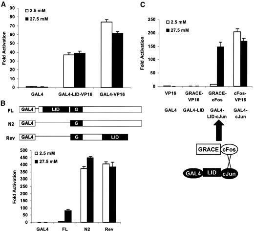 FIG. 6. Glucose responsiveness of ChREBP is mediated by reversible and specific intramolecular inhibition of GRACE by LID. Luciferase assay results were obtained under the following conditions. A: pG5-luc and pRL-TK reporters were cotransfected with plasmids encoding GAL4, GAL4-LID-VP16, or GAL4-VP16 into 832/13 cells. B: Schematic representation of Rev (LID/GRACE reversion) in reference to wild type (FL) and constitutively active (N2) controls. Indicated plasmids were cotransfected with pG5-luc and pRL-TK into 832/13 cells. C: For two-hybrid between LID and GRACE, aa.2–192 of ChREBP was fused with GAL4 (GAL4-LID) and aa.197–558 with VP16 (GRACE-VP16). GAL4-cJun and cFos-VP16 were positive control, and GAL4-LID-cJun and GRACE–c-Fos were used for reconstitution of glucose responsiveness. Indicated plasmids were cotransfected with pG5-luc and pRL-TK into 832/13 cells. Transfected cells (A–C) were treated with 2.5 or 27.5 mmol/l glucose for 24 h.