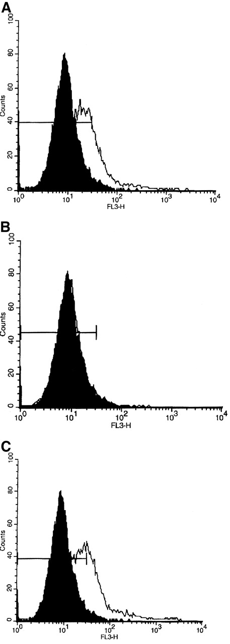 FIG. 5. Representative FACS cell distributions after propidium iodide staining following islet exposure for 48 h to no cytokines (control) or a cytokine mixture composed of IL-1β (150 pmol/l) + TNF-α (1,000 units/ml) + IFN-γ (1,000 units/ml). A: Control cells (black area) and cells exposed to the cytokine mixture (white area). B: Control cells (black area) and cells exposed to the cytokine mixture + IL-1 trap (100 × IL-1β concentration = TH) (white area). C: Control cells (black area) and cells exposed to the cytokine mixture + Fc protein (1,000 × IL-1β concentration = TC) (white area). FL3-H denotes the intensity of fluorescence.