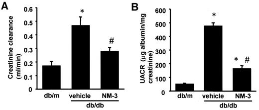 FIG. 1. A: Increase of CCr in db/db mice was partially suppressed by NM-3 (16 weeks of age). *P < 0.01 vs. db/m; #P < 0.02 vs. vehicle. B: Increase of UACR in db/db mice was significantly suppressed by treatment with NM-3. *P < 0.01 vs. db/m; #P < 0.01 vs. vehicle. Vehicle, db/db mice treated with vehicle buffer; NM-3, db/db mice treated with NM-3. n = 6 for each group. Each column consists of means ± SE.