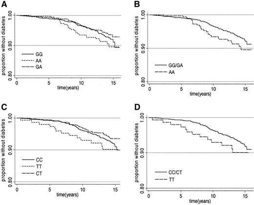 FIG. 2. Kaplan-Meier plot for the development of type 2 diabetes by UCP2G>A genotype (A), AA genotype based on a recessive model (B), UCP3C>T genotype (C), and TT genotype based on a recessive model (D).