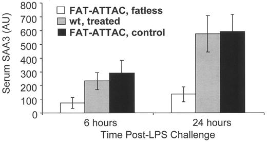 FIG. 6. Decreased response to endotoxin in fatless mice. Functional adipose is required for normal basal and lipopolysaccharide (LPS)-stimulated inflammatory tone. Decreased lipopolysaccharide-stimulated serum amyloid A3 in lipoatrophic FAT-ATTAC ob/ob mice relative to control ob/ob littermates or FAT-ATTAC ob/ob animals treated with vehicle. wt, wild type. From ref. 3.