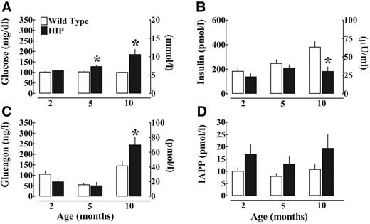 FIG. 1. The mean fasting plasma glucose (A), insulin (B), glucagon (C), and IAPP (D) concentrations in HIP and wild-type rats at 2, 5, and 10 months of age. Data are expressed as means ± SE. *HIP vs. wild type, P < 0.05.