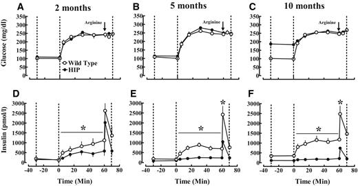 FIG. 3. Mean plasma glucose (A–C) and insulin (D–F) concentration profiles at fasting (−30 to 0 min) and during a hyperglycemic clamp (0–80 min) with arginine bolus injection given at 60 min in HIP and wild-type rats between 2 and 10 months of age. Data are expressed as means ± SE. *HIP vs. wild type, P < 0.05.