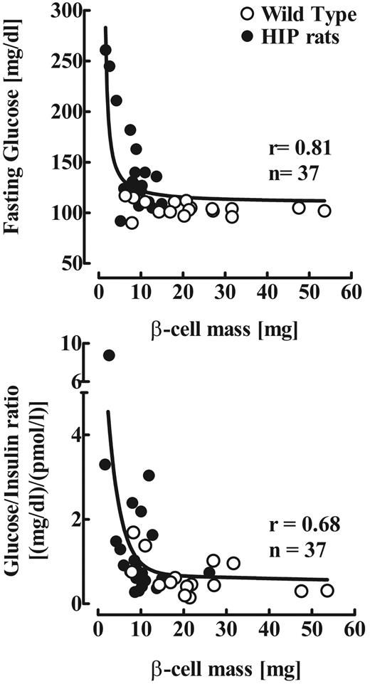 FIG. 6. The relationship between β-cell mass and the fasting plasma glucose and fasting plasma glucose–to–insulin concentration ratio in 22 HIP and 15 wild-type rats at 2–10 months of age.