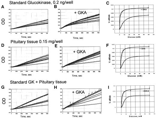 FIG. 1. Results of a typical glucokinase assay using crude rat pituitary extract. Three-hour progress curves of glucose phosphorylation at increasing substrate concentrations ranging from 0 to 60 mmol/l glucose for an optimal amount of crude pituitary extract (0.15 mg/well) are shown (D and E). Wild-type GST-glucokinase fusion protein (0.2 ng/well) served as a biochemically defined standard (A and B) and was also used in mixing experiments to assess recovery (G and H). The measurements were made in the absence and presence of 30 mmol/l GKA as indicated. C, F, and I show the concentration dependency curves in the presence and absence of the allosteric activator. Note the clearly sigmoidal nature of the curves in the absence of the activator.