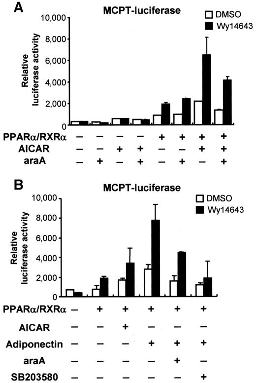 FIG. 2. Adiponectin increases PPARα transcriptional activity via AMPK and p38 MAPK. A and B: Luciferase assays were performed with HEK293 transfected and treated with the indicated expression vectors and compounds. See research design and methods for details. RXRα, retinoid X receptor α.