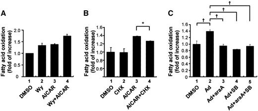 FIG. 4. Adiponectin increases fatty acid oxidation via AMPK and p38 MAPK. Fatty acid oxidation was measured using 3H-labeled palmitate in differentiated C2C12 myotubes as described in research design and methods. A: Cells were incubated in oxidation media containing 3H-labeled palmitate with 1 mmol/l AICAR, 10 μmol/l Wy14643, or vehicle (DMSO) for 24 h. Wy, Wy14643. B: Cells were preincubated in the presence or absence of cycloheximide (CHX; 20 μmol/l) for 1 h before adding AICAR (1 mmol/l), Wy14643 (10 μmol/l), or DMSO. C: Fatty acid oxidation was measured after stimulating with 2 μg/ml adiponectin for 24 h. AraA and/or SB203580 was pretreated 1 h before adiponectin. *P < 0.01, †P < 0.05. Ad, adiponectin; SB, SB203580.