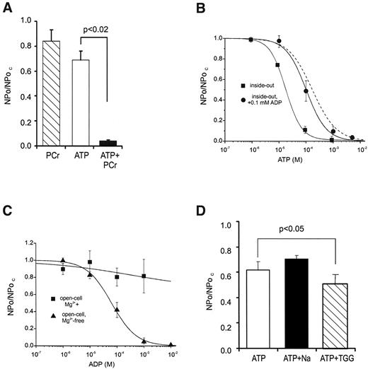 FIG. 4. A: Mean β-cell KATP channel activity (NPo) measured in the open-cell configuration in the presence of 1 mmol/l phosphocreatine (PCr), 100 μmol/l ATP, and 100 μmol/l ATP plus 1 mmol/l phosphocreatine. Data are normalized to KATP channel activity (NPoc) in nucleotide-free solution. B: Mean ATP concentration-inhibition curve measured in inside-out patches from β-cells in the absence (n = 5) or presence of 100 μmol/l MgADP (n = 8). The solid line is the best fit of Eq. 1 to the mean data. The dashed line is the best fit of Eq. 1 to data obtained in open-cell patches in the absence of MgADP (taken from Fig. 2B). C: Mean ADP concentration-inhibition curve for native β-cell KATP channels measured in open-cell patches with (n = 5) or without (n = 10) Mg2+. D: Mean KATP channel activity measured in open-cell patches in the presence of 100 μmol/l ATP alone, 100 μmol/l ATP plus 15 mmol/l Na+, and 100 μmol/l ATP plus 0.5 μmol/l thapsigargin (TGG).