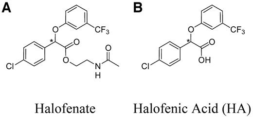 FIG. 1. Chemical structures of compounds. Halofenate (A) is a pro-drug ester of HA (B). Halofenate is rapidly modified in vivo to HA, the circulating form of the drug.