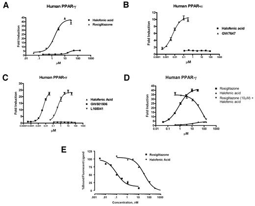 FIG. 2. HA is a PPAR-γ partial agonist/antagonist. The GAL hybrid assay was used to examine the activation of PPARs by HA. A: GAL4-human PPAR-γ, -α, or -δ ligand-binding domain expression plasmid was cotransfected with a luciferase reporter plasmid in HEK-293T cells. Human PPAR-γ (A), PPAR-α (B), PPAR-δ (C) activity was monitored in the transfected cells treated with increasing concentrations of the respective PPAR agonists: rosiglitazone (0.033–33 μmol/l), HA (0.1–100 μmol/l), GW7647 (0.33–300 nmol/l), L165041 (33 nmol/l to 33 μmol/l), and GW501516 (0.03 nmol/l to 33 nmol/l). D: To evaluate an antagonist effect, PPAR-γ activity was measured in GAL4-human PPAR-γ ligand-binding domain transfected cells treated with increasing concentrations of rosiglitazone (0.033–33 μmol/l), HA (0.4–150 μmol/l), or 10 μmol/l rosiglitazone cotreated with increasing concentrations of HA (0.4–150 μmol/l). Fold induction is expressed relative to vehicle (DMSO). Figures are plotted as means ± SE. Data are representative of minimal three independent experiments of at least triplicates. E: HA binds to PPAR-γ. A competitive binding assay was used to assess the ability of HA or rosiglitazone to displace a fluorescent PPAR-γ ligand from a human-derived recombinant PPAR-γ ligand-binding domain. Concentration-dependent displacement of the fluorescent PPAR-γ ligand by HA was observed with an IC50 of ∼32 μmol/l.