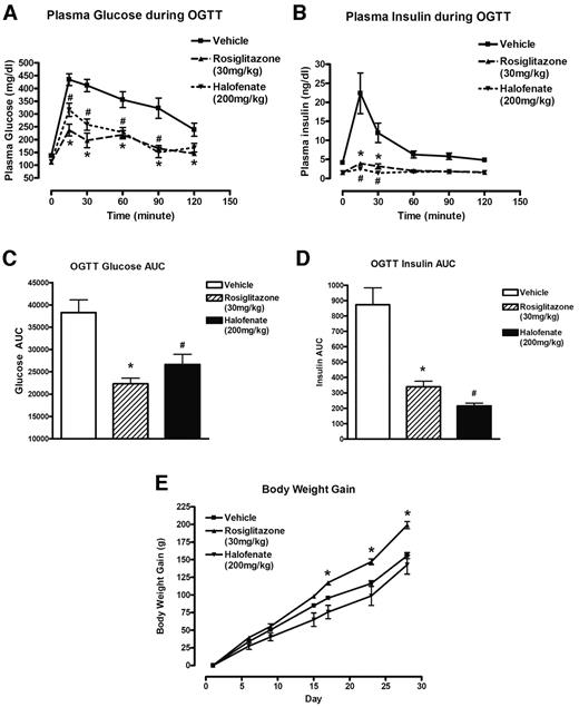 FIG. 7. Halofenate decreases insulin resistance without inducing weight gain in obese Zucker (fa/fa) rats. Effect of halofenate treatment on plasma glucose (A), plasma insulin (B), AUC for plasma glucose (C), and AUC for plasma insulin (D) during the oral glucose tolerance test in obese Zucker (fa/fa) rats. Oral glucose tolerance test were performed after 18 daily doses of vehicle, halofenate (200 mg/kg), or rosiglitazone (30 mg/kg). E: Effect of halofenate on body weight gain during the 28 days of treatment. Data were derived from eight rats per treatment group (means ± SE). Statistical analysis used ANOVA. *P < 0.05 rosiglitazone treatment vs. vehicle treatment. #P < 0.05 halofenate treatment vs. vehicle treatment.
