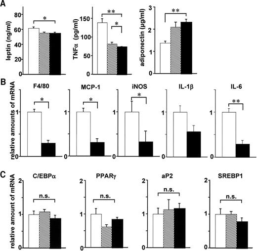 FIG. 3. ApoE deficiency affected plasma adipocytokine profiles and expressions of the mRNAs for inflammation- and differentiation-related proteins in adipose tissue. A: Plasma adipocytokines (left, leptin; middle, TNF-α; right, adiponectin) of high-fat chow–fed apoE+/+;Ay/+ (□), apoE+/−;Ay/+ (), and apoE−/−;Ay/+ (▪) mice were measured after a 10-h fast at 11 weeks of age. B and C: Relative amounts of mRNA in mesenteric white adipose tissue from apoE+/+;Ay/+ (□) and apoE−/−;Ay/+ (▪) mice were determined by quantitative RT-PCR and corrected with 28S rRNA as the internal standard. Total RNA in white adipose tissue was isolated, after a 10-h fast, from 11-week-old mice. Levels of the mRNA levels for inflammation (B)- and differentiation (C)-related proteins in adipose tissue were assayed (n = 6 per group). Data are presented as means ± SE. *P < 0.05, **P < 0.01 by one-way ANOVA (A) and the unpaired t test (B and C).