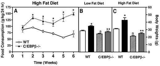 FIG. 1. C/EBPβ−/− mice are resistant to increased weight on high-fat diet. A: Food consumed was measured over a 24-h period and normalized by kg body wt for wild-type and C/EBPβ−/− mice. The values are the means ± SE for 11–14 mice per group for food consumption. Body weights were measured for low-fat diets (B) and high-fat diets (C). The wild-type initial (□ 8 weeks old) and wild-type final (▪ 20 weeks old) body weights and the C/EBPβ−/− initial ( 8 weeks) and C/EBP β−/− final ( 20 weeks) body weights are shown. The values are the means ± SE for five to eight mice per group. *P < 0.03 compared with wild-type initial body weights; aP < 0.04 compared with wild-type initial body weight; **P < 0.03 compared with wild-type final body weight.