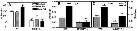 FIG. 2. Reduced body fat on high-fat diet. A: The percentage of body fat was measured for wild-type and C/EBPβ−/− mice on control chow, low-fat, or high-fat diets (*P < 0.04 compared with wild-type low-fat and control diet; **P < 0.04 compared with wild-type mice). Fat pads were isolated for BAT (B) and WAT (C) after 12 weeks of either a low-fat or high-fat diet. *P < 0.05 compared with wild-type mice on low-fat diet; **P < 0.05 compared with C/EBP β−/− mice on low-fat diet. The values are the means ± SE for three to six mice per group.