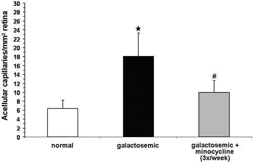 FIG. 4. Minocycline inhibits galactose-induced retinal pathology. Retinas of normal mice (n = 10), galactosemic mice (n = 12), and galactosemic mice injected with minocycline (5 mg/kg body wt i.p.) (n = 15) three times per week were isolated (13 months’ duration) and acellular capillaries were counted. ★P < 0.02 compared with normal; #P < 0.05 compared with galactosemia.