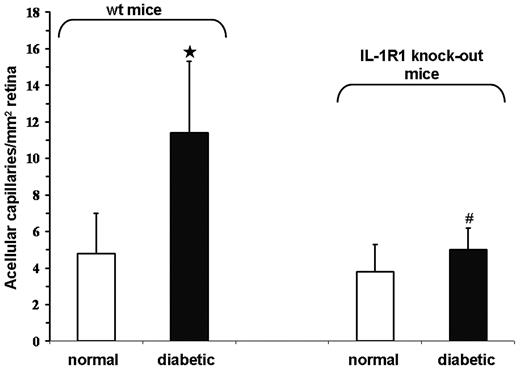 FIG. 7. Inhibition of IL-1β signaling inhibits diabetes-induced retinal pathology. Retinas of WT normal (n = 7) and diabetic mice (n = 7), and normal (n = 8) and diabetic IL-1R1−/− mice (n = 5), were isolated at 7 months. Diabetes-induced formation of acellular capillaries in WT mice compared with normal WT mice: ★P < 0.02. Number of acellular capillaries in diabetic IL-1R1−/− animals compared with diabetic WT animals: #P < 0.05.