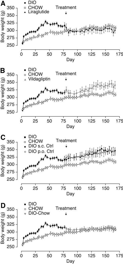FIG. 1. Weight change over time in candy-fed obese rats treated with liraglutide and vildagliptin and in candy-fed obese (DIO), candy-fed chow-treated (DIO-Chow), and lean control rats (Chow). A: Liraglutide (from day 80) compared with candy-fed and chow control rats. B: Vildagliptin (from day 80) compared with candy-fed and chow control rats. C: Candy-fed and chow control rats and vehicle treatment (from day 80). D: Candy-fed obese rats, fed only chow (from day 80), compared with candy-fed and chow control rats. Data are means ± SE.