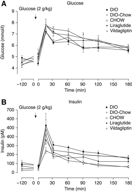 FIG. 4. Glucose (A) and insulin (B) responses to an OGTT immediately after the final drug dose, after a 17-h fasting period. Data are the means ± SE.