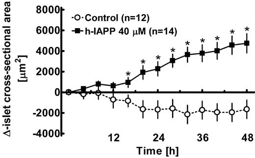 FIG. 2. Change of the islet cross-sectional area during 48 h of incubation with h-IAPP versus control. P < 0.0001 by repeated-measures ANOVA. Data are means ± SEM. *P < 0.05 for differences versus control at individual time points (one-way ANOVA).