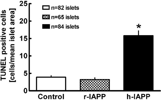 FIG. 4. Mean number of TUNEL-positive cells in human islets (n = 3 donors) incubated for 48 h with vehicle (control), r-IAPP (40 μmol/l), or h-IAPP (40 μmol/l). Data are means ± SEM. *P < 0.05 vs. control.