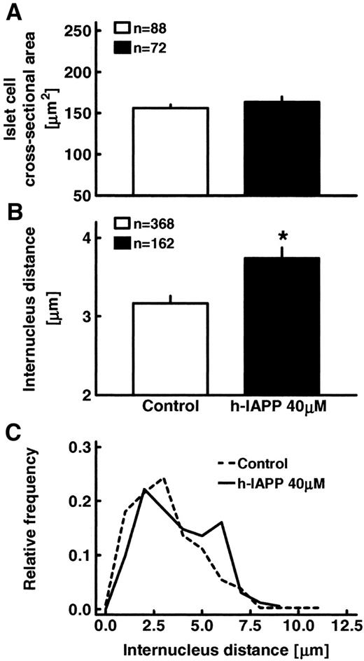 FIG. 6. Islet cell cross-sectional area (A) and internucleus distance (B) in isolated human islets after 48 h of static incubation with and without h-IAPP. C: Relative frequency distribution of the internucleus distance in human islets after 48 h of incubation with and without h-IAPP. For A and B, data are means ± SEM. *P < 0.05 vs. control.