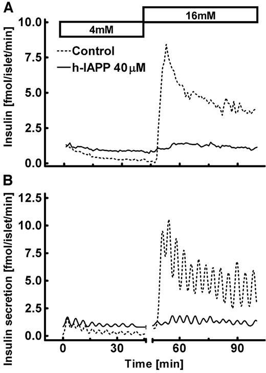 FIG. 7. Insulin profiles (A) and insulin secretion rates (derived by deconvolution analysis) (B) from two representative islet perifusion experiments performed after 48 h of static incubation with and without h-IAPP. Islets were maintained at 4 mmol/l glucose from 0 to 40 min and at 16 mmol/l glucose from 40 to 100 min.