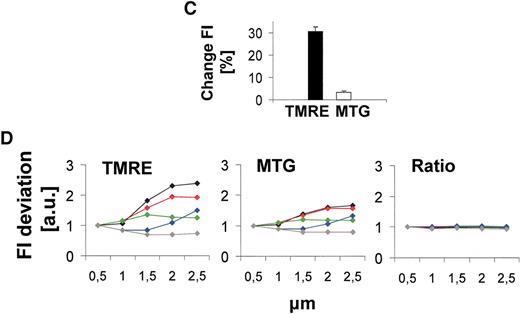 FIG. 1. A: Metabolic heterogeneity of mitochondria. Confocal microscopy images of cells in an intact pancreatic islet (left) and a dispersed cell (right) stained with the potentiometric mitochondrial dye JC-1. Hyperpolarized mitochondria appear as red and depolarized as green. Note the existence of a hyperpolarized subpopulation of mitochondria. Scale bars = 10 (left) and 5 (right) μm. B: FCCP virtually abolishes TMRE fluorescence but leaves MTG virtually intact. Dispersed β-cells were simultaneously stained with TMRE (red) and MTG (green). After imaging at basal glucose (3 mmol/l) (top row), 1 μmol/l of the uncoupling agent FCCP was added and cells were imaged after 10 min (bottom row). Merged images were generated by superimposing the red and green images. Ratio images were produced by calculating the ratio of FI (TMRE-to-MTG) of each individual pixel and colour labelling accordingly using the image analysis software. Scale bar = 5 μm. C: Glucose-induced change in FI of TMRE and MTG. Dispersed β-cells were double stained with TMRE and MTG and imaged at low (3 mmol/l) and high (8 mmol/l) glucose concentrations. The bars denote the relative change in FI under 8 compared with 3mmol/l glucose (n = 45 cells). D: The use of the TMRE-to-MTG ratio reduces the variability in FI with focal plane. Dispersed β-cells were imaged at 3 mmol/l glucose by using the Z-stack function of the confocal microscope, with a distance of 0.5 μm between the 5 sections, thus creating 5 series of 5 data points (n = 5 cells). The relative FI of TMRE, MTG, and the TMRE-to-MTG ratio were plotted against the Z-plane. Each colored line represents one cell.