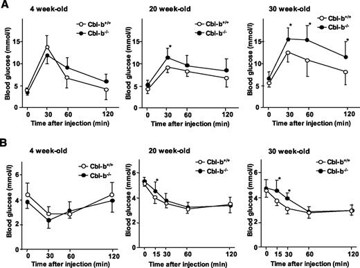FIG. 1. Glucose intolerance and insulin resistance in Cbl-b−/− mice. A: Results of an IPGTT for Cbl-b+/+ and Cbl-b−/− mice of the indicated ages. Mice fasted for 12 h were injected intraperitoneally with glucose (2 g/kg body wt). Blood samples were taken from the tail vein before and at the indicated time points after glucose injection for measurement of blood concentrations. Data are means ± SD (n = 7). *P < 0.05 compared with Cbl-b+/+ mice. B: Results of an IPITT for Cbl-b+/+ and Cbl-b−/− mice of the indicated ages and littermates of mice subjected to IPGTT. Mice fasted for 12 h were injected intraperitoneally with insulin (0.75 units/kg body wt). Blood samples were taken from the tail vein before and at the indicated time points after insulin injection, for measurement of blood glucose level. Data are means ± SD (n = 7). *P < 0.05 compared with Cbl-b+/+ mice.