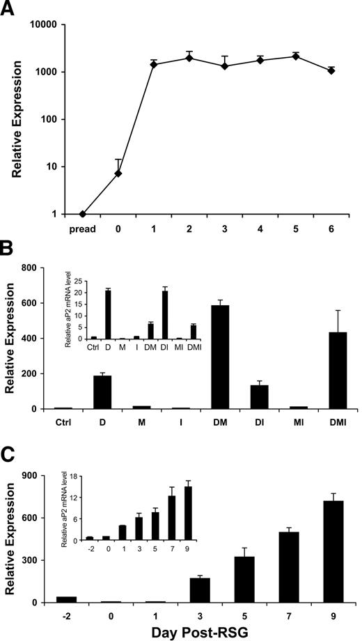 FIG. 2. Expression of Lcn2 during 3T3-L1 adipogenesis. A: Time course of Lcn2 mRNA expression during 3T3-L1 adipogenesis. Data are means ± SD, n = 3. B: Lcn2 mRNA expression in confluent 3T3-L1 preadipocytes treated with Dex (D), methylisobutylxanthine (M), insulin (I), or combinations thereof. Data are means ± SD, n = 3. C: Lcn2 expression during 3T3-L1 differentiation induced by rosiglitazone in the absence of Dex/methylisobutylxanthine/insulin (DMI). Data are means ± SD, n = 3. For B and C, the inset shows the corresponding amount of Fabp4 mRNA to mark the extent of differentiation.