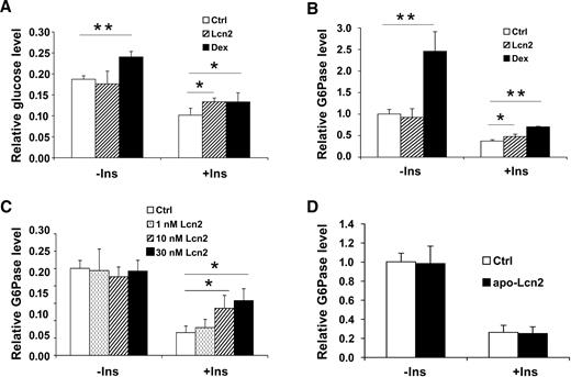 FIG. 6. Exogenous recombinant Lcn2 induces insulin resistance in H4IIe hepatocytes. A, left: Glucose production induced by liganded Lcn2 (10 nmol/l) or Dex (250 nmol/l) in the presence or absence of insulin (100 nmol/l). A, right: Effect of liganded Lcn2 (10 nmol/l) or Dex (250 nmol/l) on glucose-6-phosphatase mRNA expression in the presence or absence of insulin (100 nmol/l). B: Dose response of liganded Lcn2 on glucose-6-phosphatase expression. C: Effect of apo-Lcn2 on glucose-6-phosphatase expression. Data are means ± SD, *P < 0.05, **P < 0.01, n = 3.